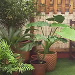 108a De 3 Con Terraza Apartment Gijón
