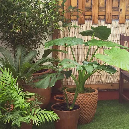 108a De 3 Con Terraza Apartmán Gijón